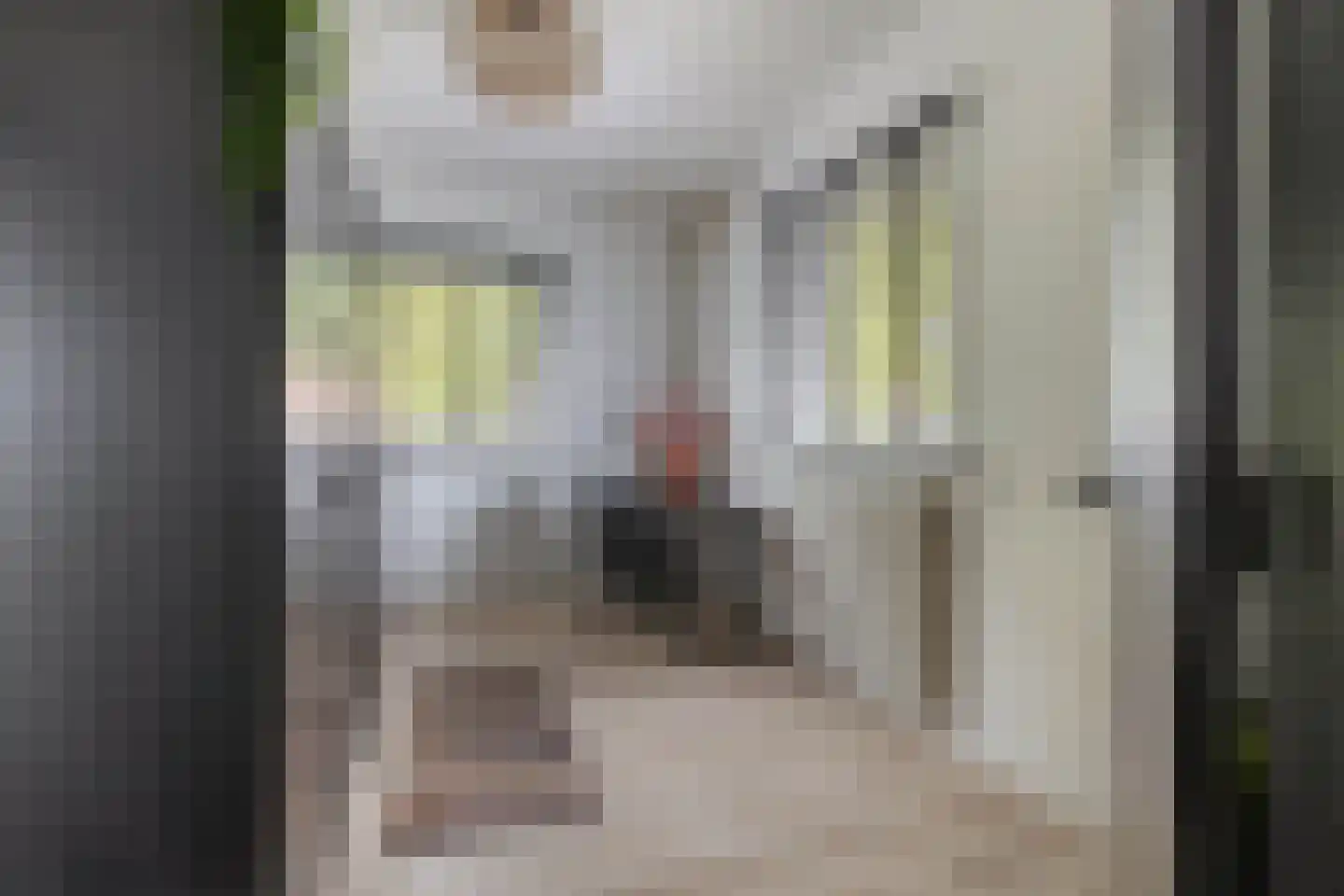 Cimburgalaan 2 Breda thumbnail 44