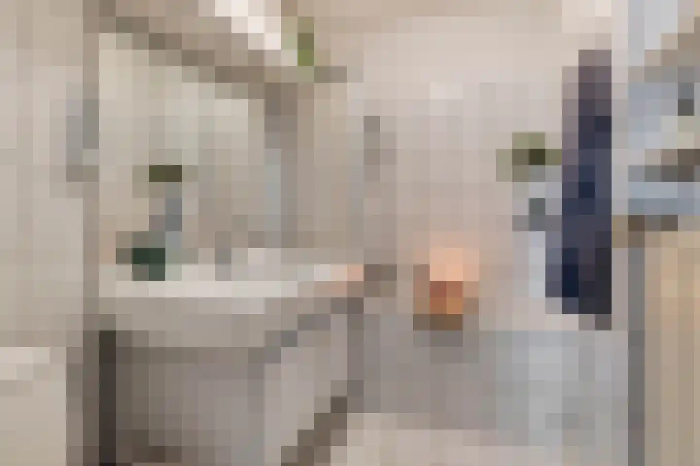 Cimburgalaan 2 Breda thumbnail 48