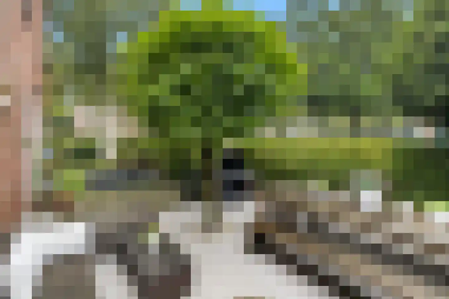 Cimburgalaan 2 Breda thumbnail 5