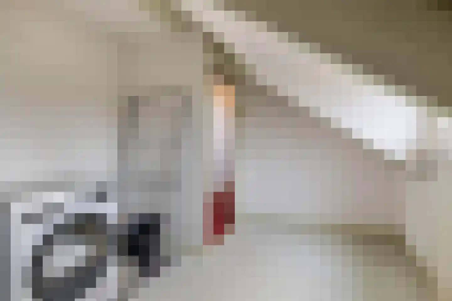 Cimburgalaan 2 Breda thumbnail 57