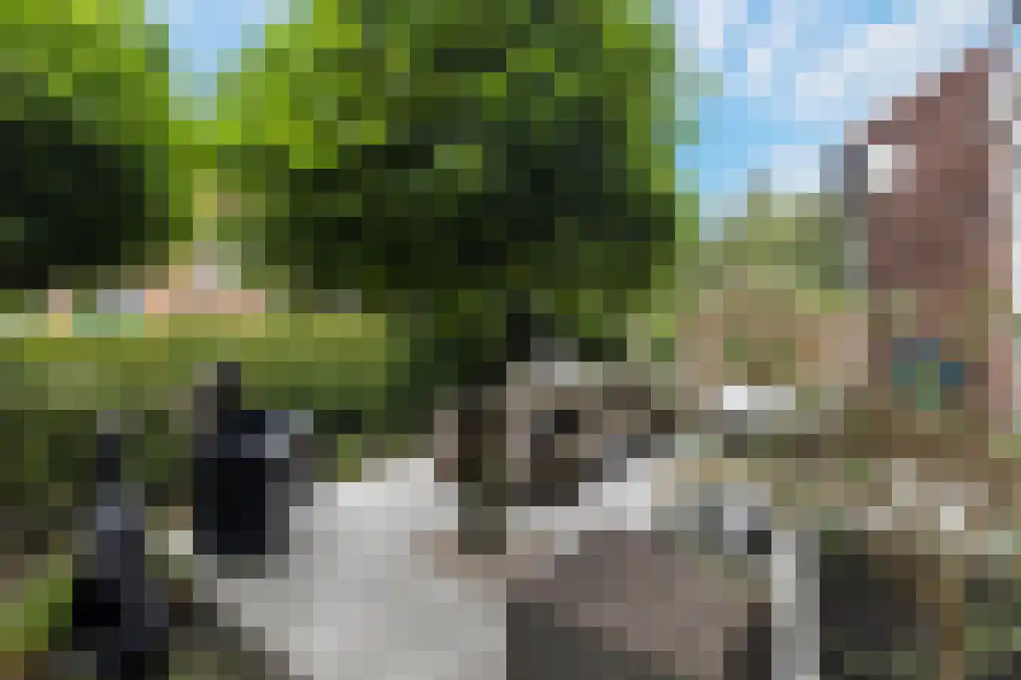 Cimburgalaan 2 Breda thumbnail 61