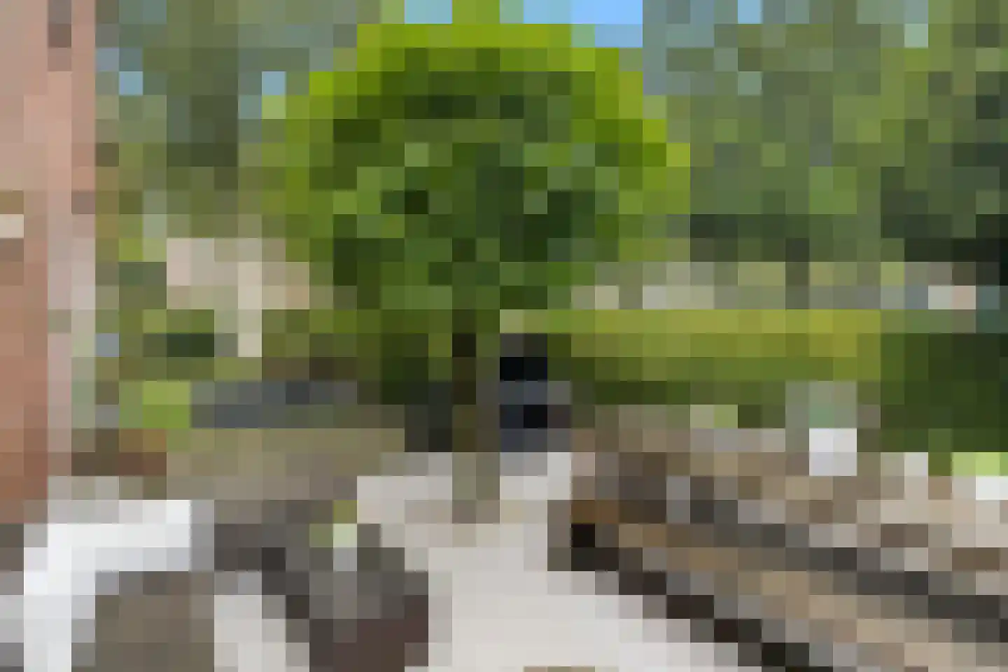Cimburgalaan 2 Breda thumbnail 62