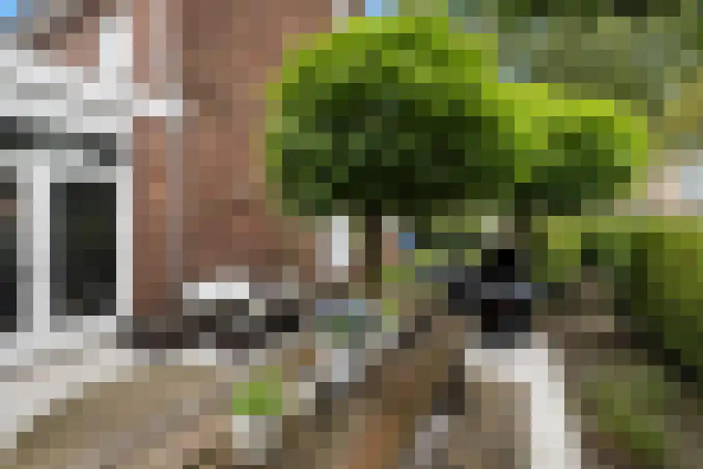 Cimburgalaan 2 Breda thumbnail 63