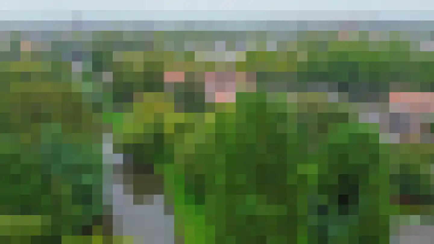 Cimburgalaan 2 Breda thumbnail 67