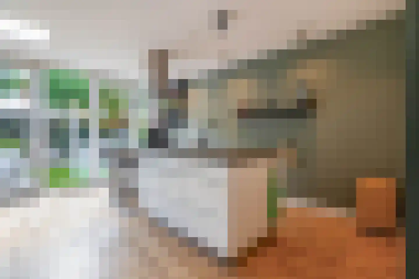 Cimburgalaan 7 Breda thumbnail 21