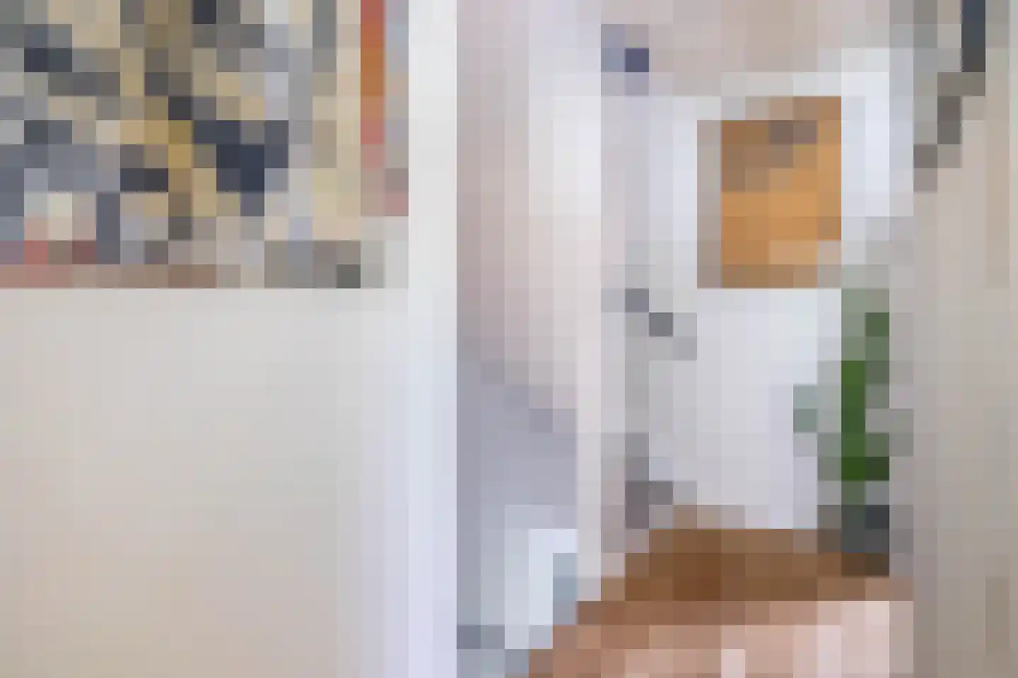 Cimburgalaan 7 Breda thumbnail 26