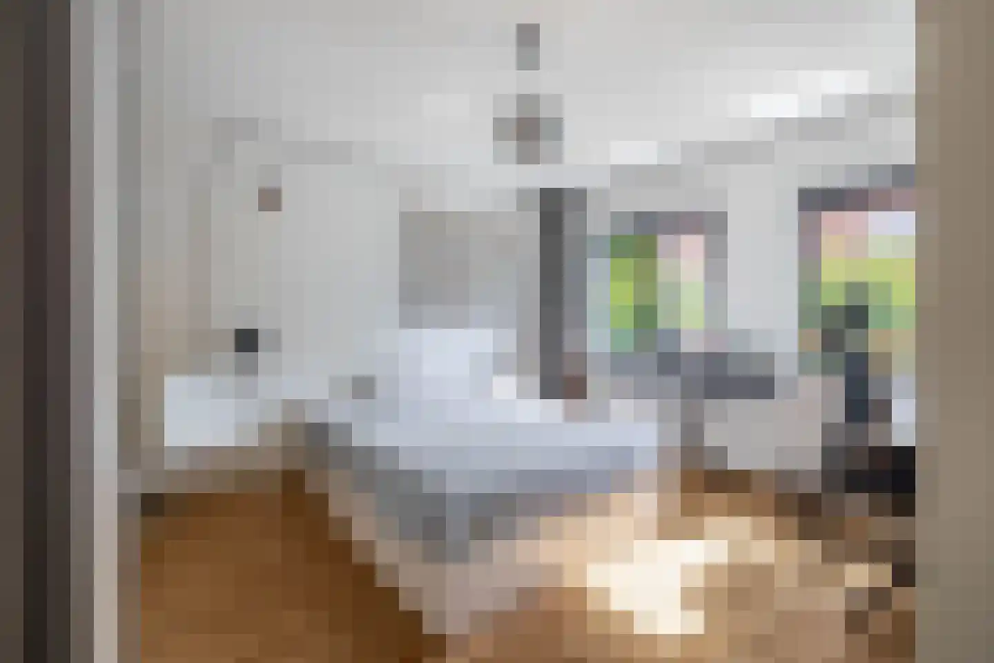 Cimburgalaan 7 Breda thumbnail 36