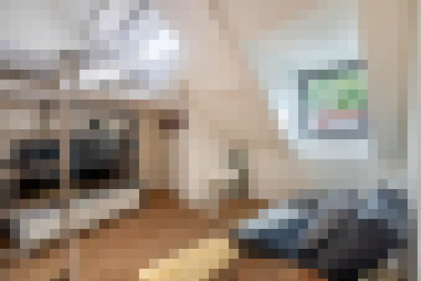 Cimburgalaan 7 Breda thumbnail 37