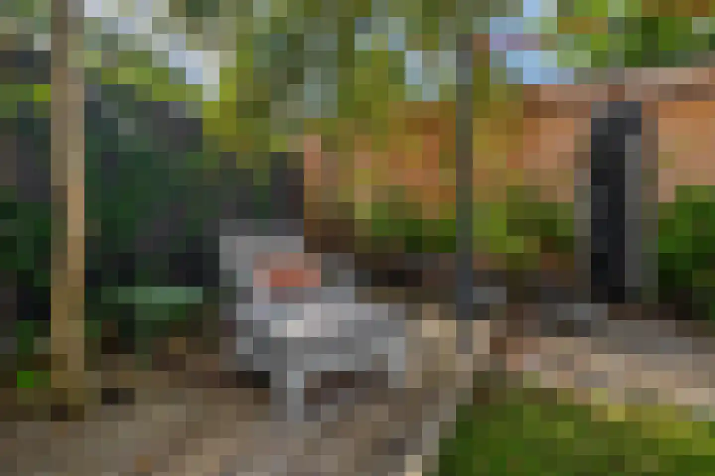 Cimburgalaan 7 Breda thumbnail 49