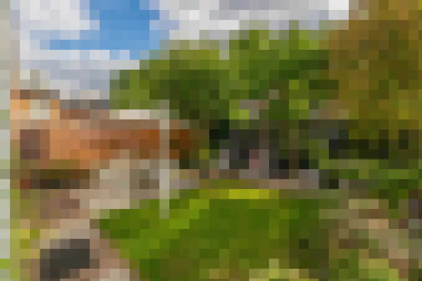 Cimburgalaan 7 Breda thumbnail 6