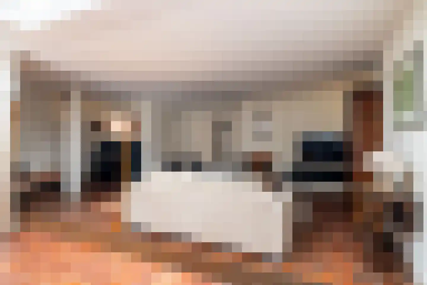 Cimburgalaan 89 Breda thumbnail 6