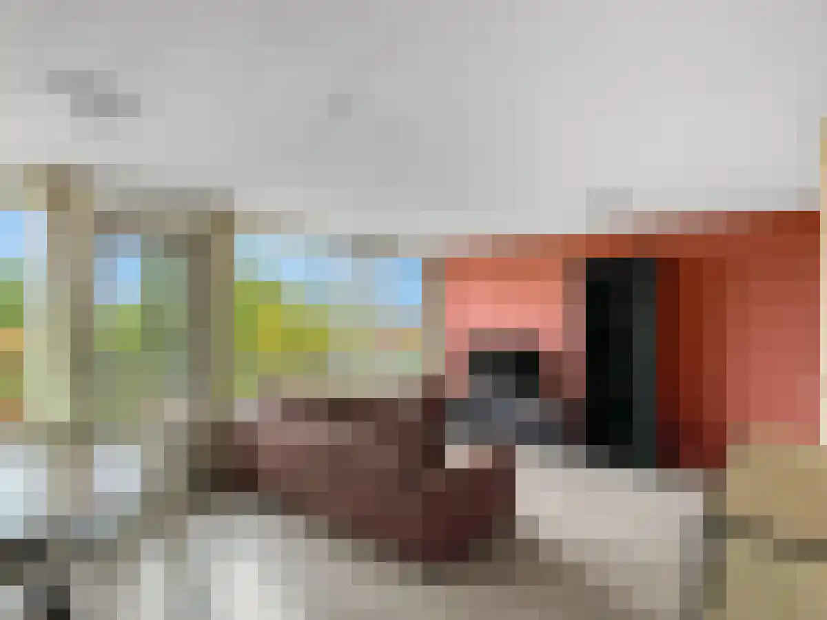 Cinemadreef 218 Almere thumbnail 4