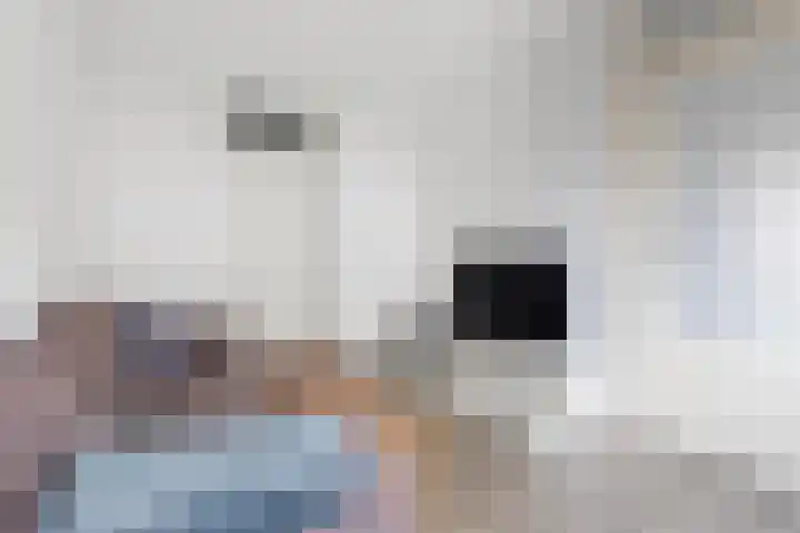Cinemadreef 242 Almere thumbnail 28
