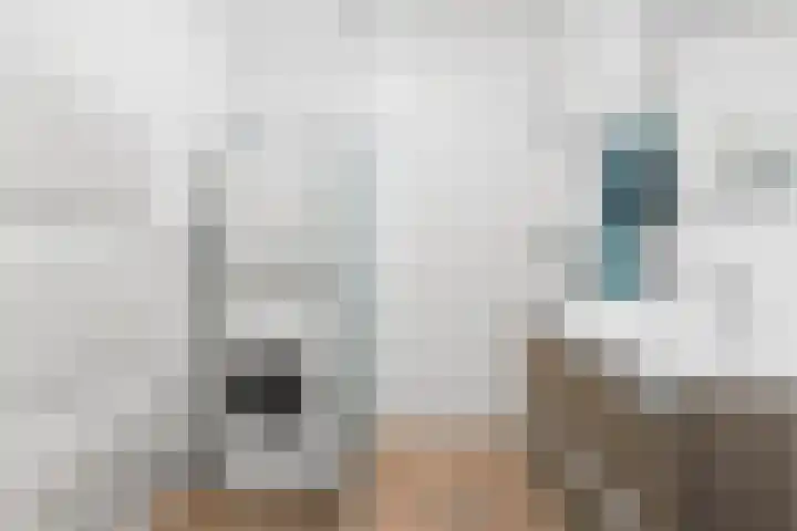 Cinemadreef 242 Almere thumbnail 5