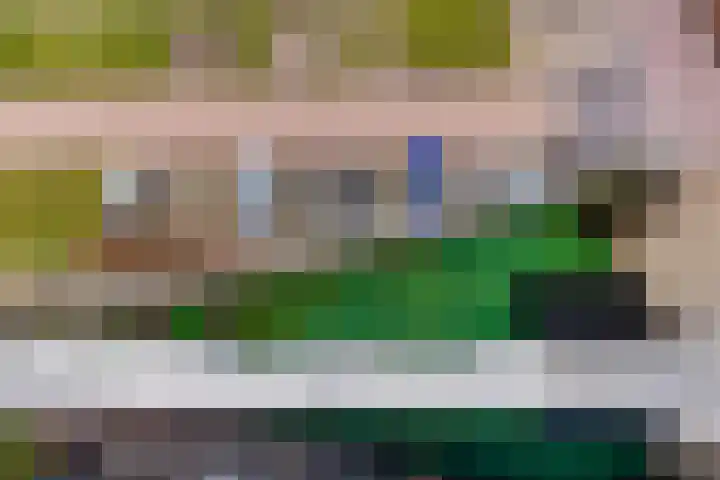 Cinemadreef 270 Almere thumbnail 23