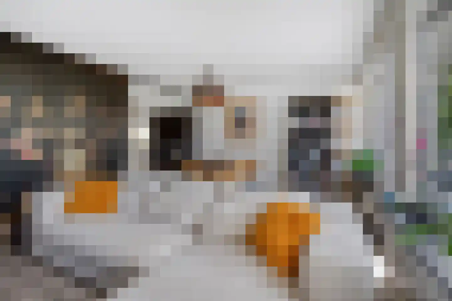 Cinemadreef 284 Almere thumbnail 13