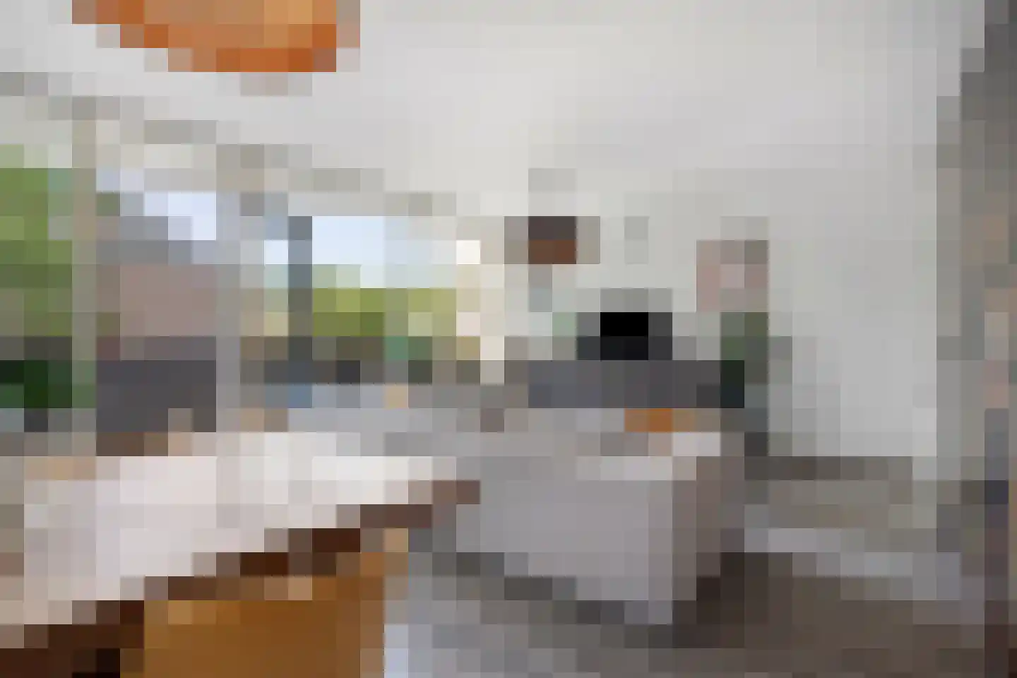 Cinemadreef 284 Almere thumbnail 14