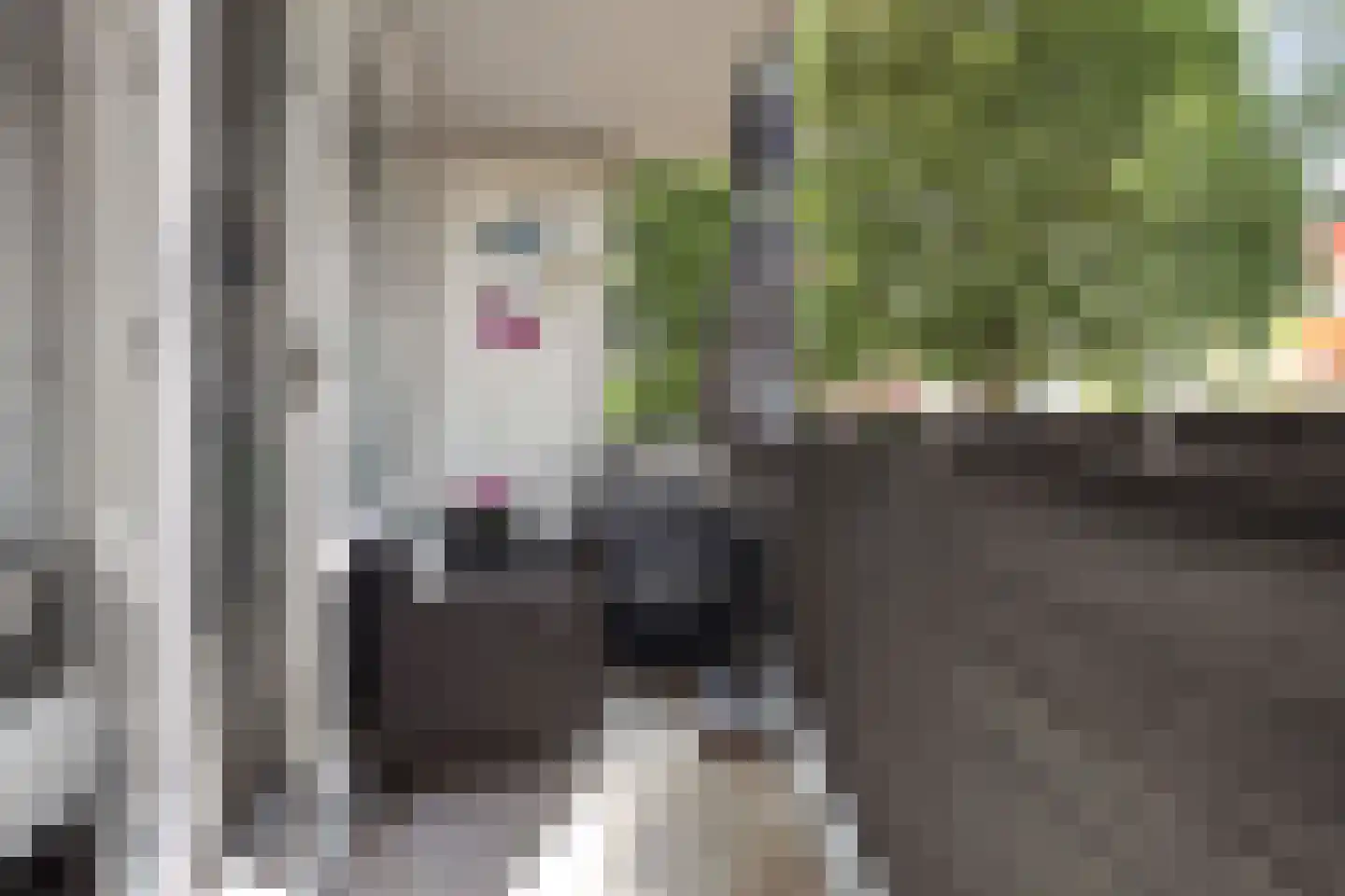 Cinemadreef 284 Almere thumbnail 21
