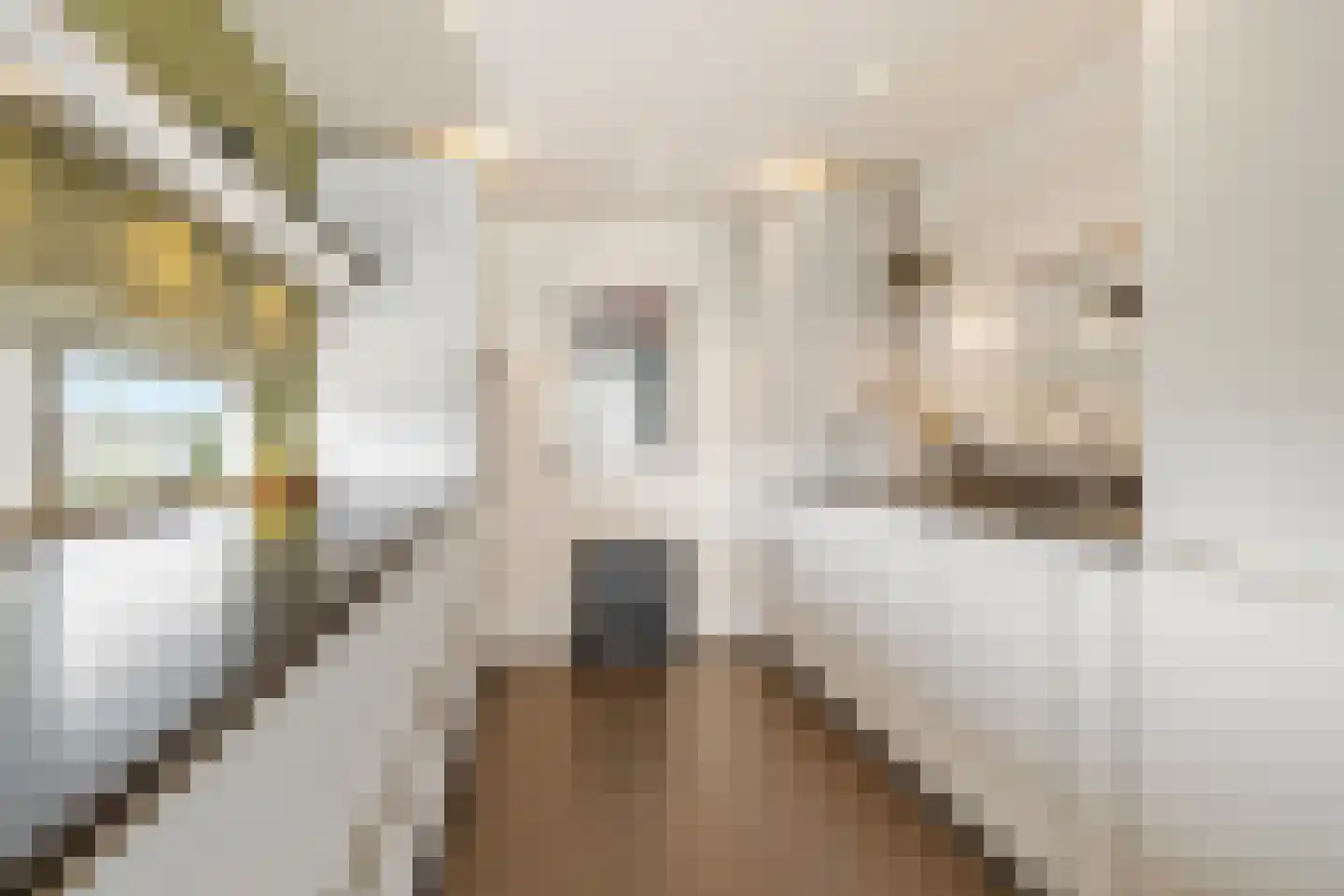 Cinemadreef 302 Almere thumbnail 11