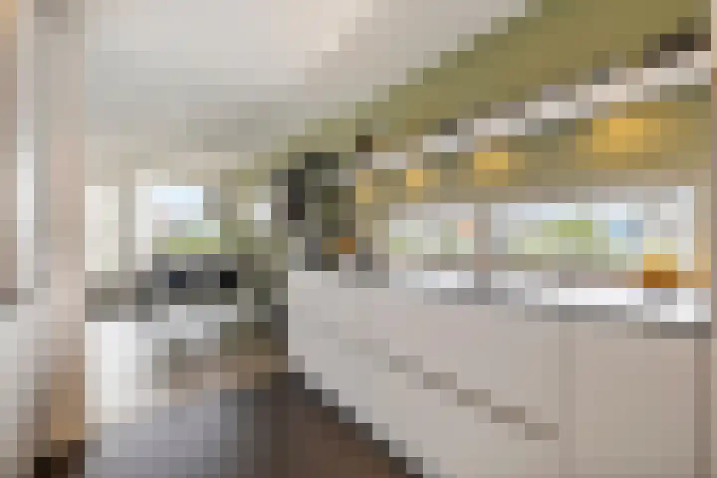 Cinemadreef 302 Almere thumbnail 12