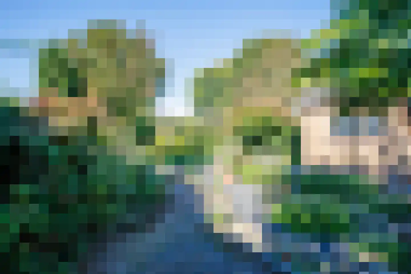 Cingelwal 44 Wehl thumbnail 28