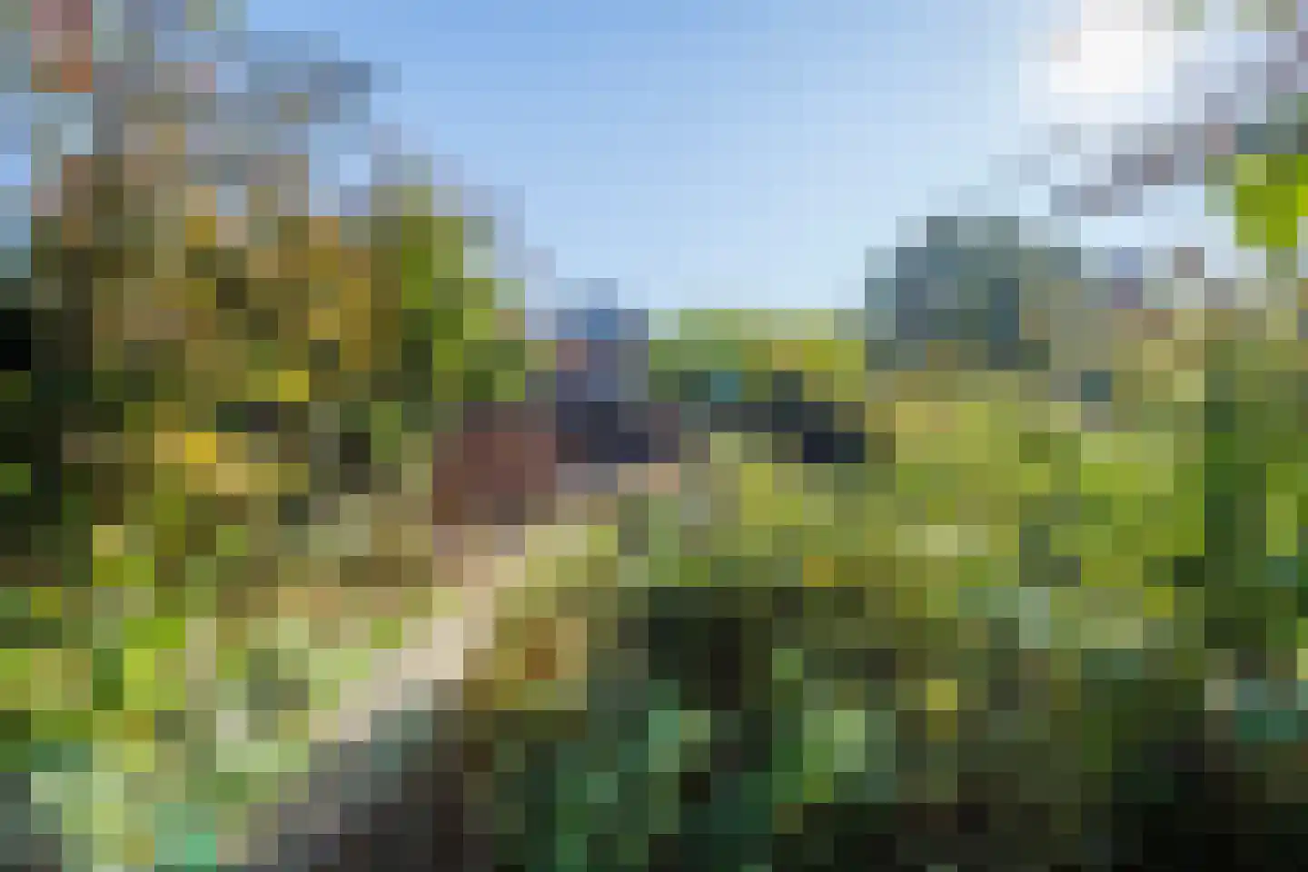 Cingelwal 44 Wehl thumbnail 29