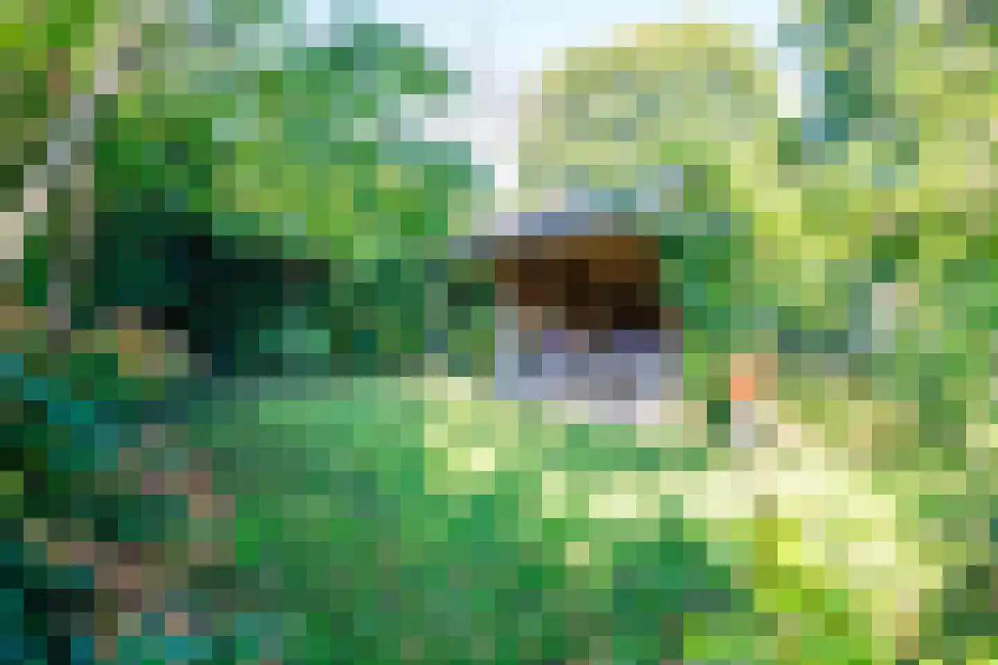 Cingelwal 44 Wehl thumbnail 30