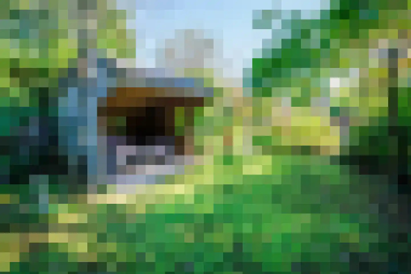 Cingelwal 44 Wehl thumbnail 31