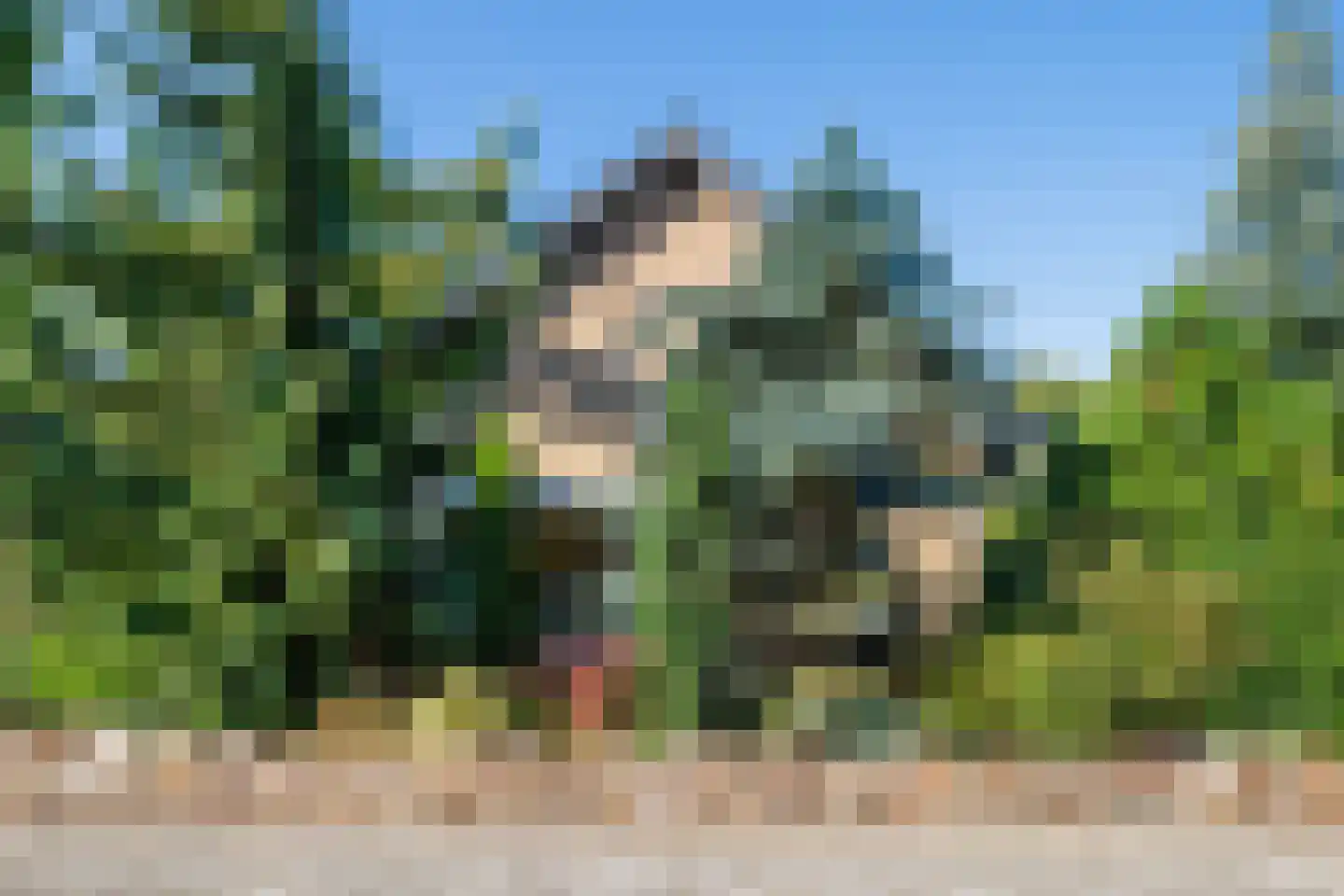 Cingelwal 44 Wehl thumbnail 50