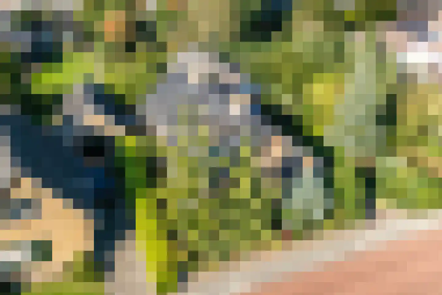 Cingelwal 44 Wehl thumbnail 52
