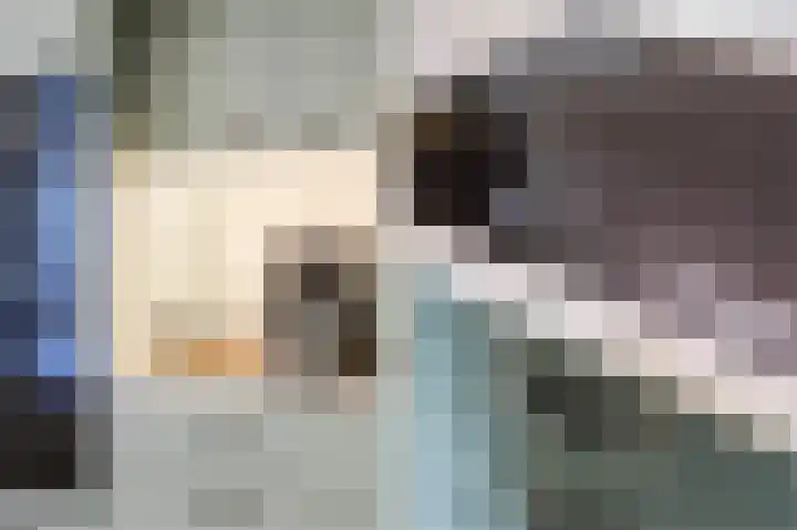 Cingelwal 55 Wehl thumbnail 20
