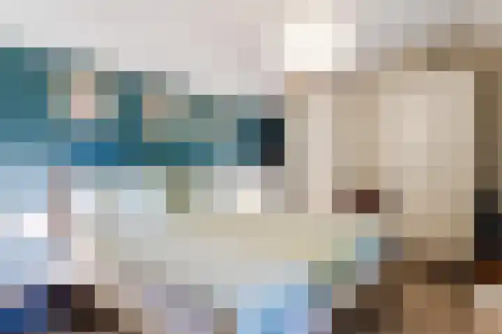 Cingelwal 55 Wehl thumbnail 29