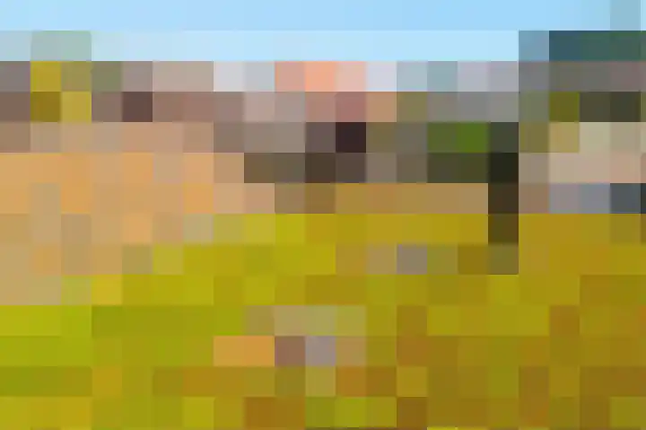 Cingelwal 55 Wehl thumbnail 35