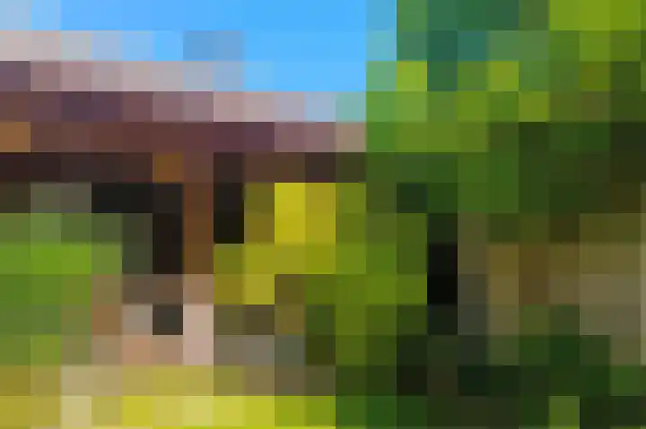 Cingelwal 55 Wehl thumbnail 46