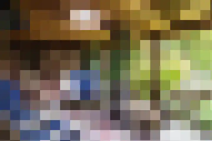 Cingelwal 55 Wehl thumbnail 48