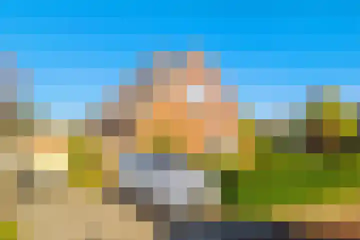 Cingelwal 55 Wehl thumbnail 5