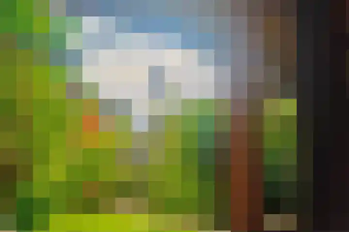 Cingelwal 55 Wehl thumbnail 51