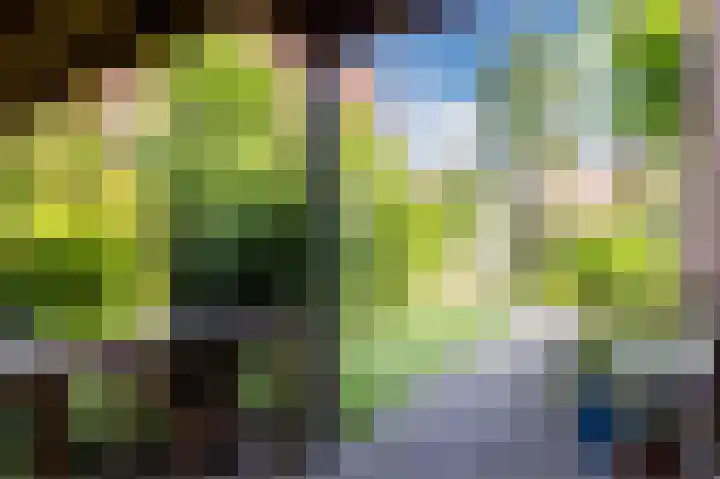 Cingelwal 55 Wehl thumbnail 54
