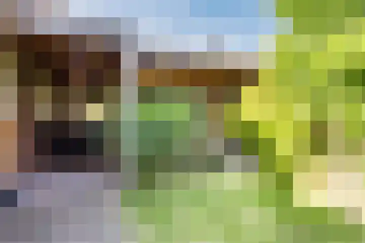 Cingelwal 55 Wehl thumbnail 56