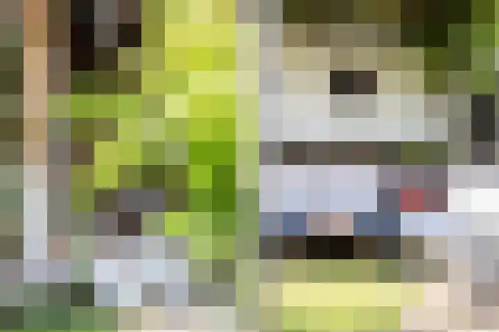 Cingelwal 55 Wehl thumbnail 59