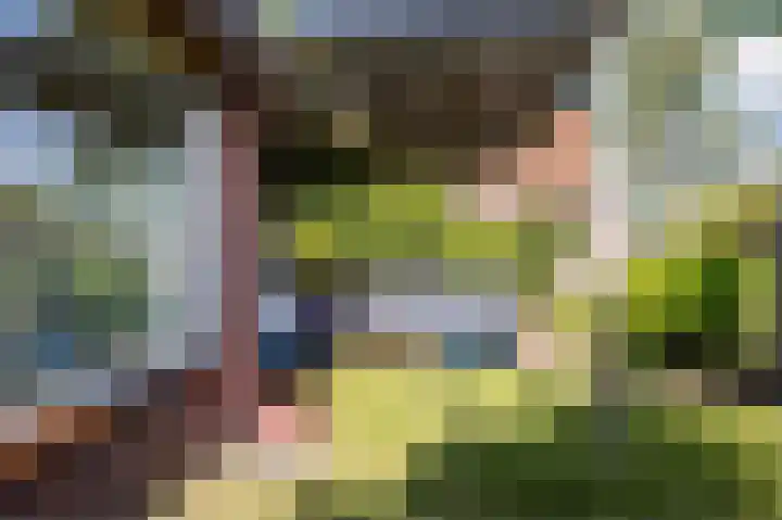 Cingelwal 55 Wehl thumbnail 61