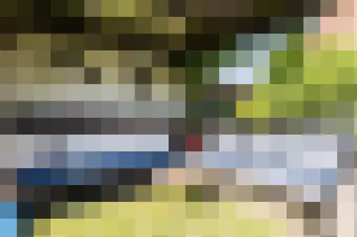 Cingelwal 55 Wehl thumbnail 62