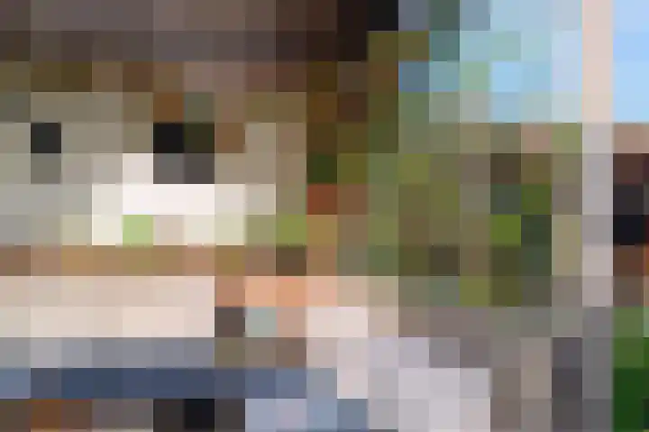 Cingelwal 55 Wehl thumbnail 63