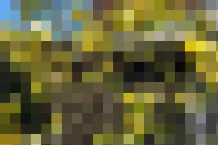 Cingelwal 55 Wehl thumbnail 64