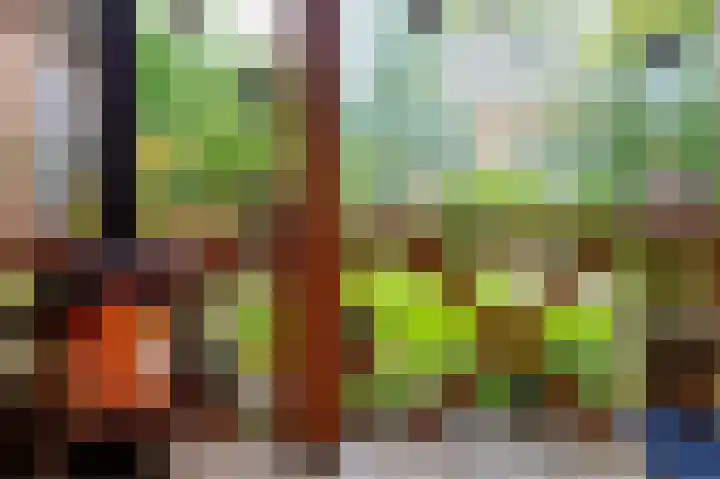 Cingelwal 55 Wehl thumbnail 65