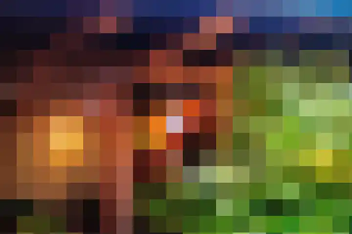 Cingelwal 55 Wehl thumbnail 73