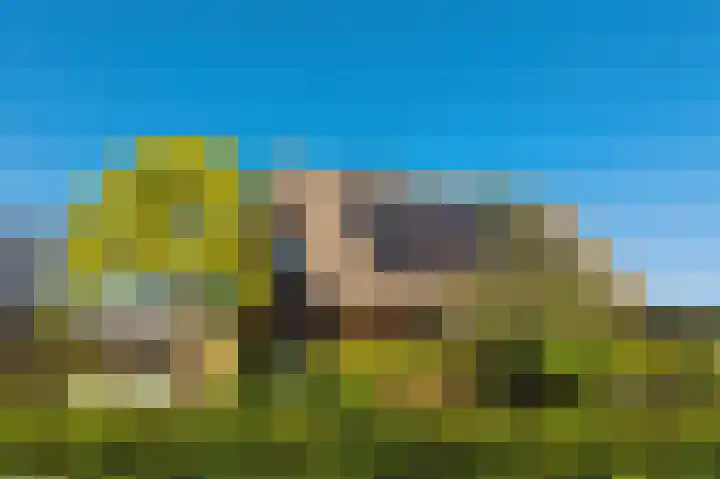 Cingelwal 55 Wehl thumbnail 8