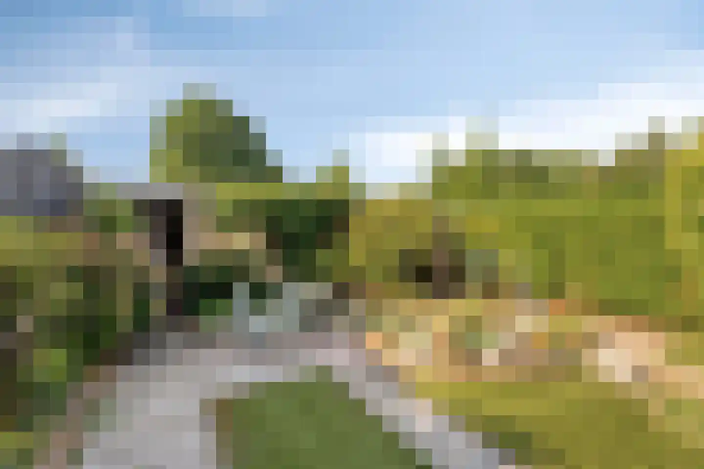 Cinnaberdijk 78 Roosendaal thumbnail 28