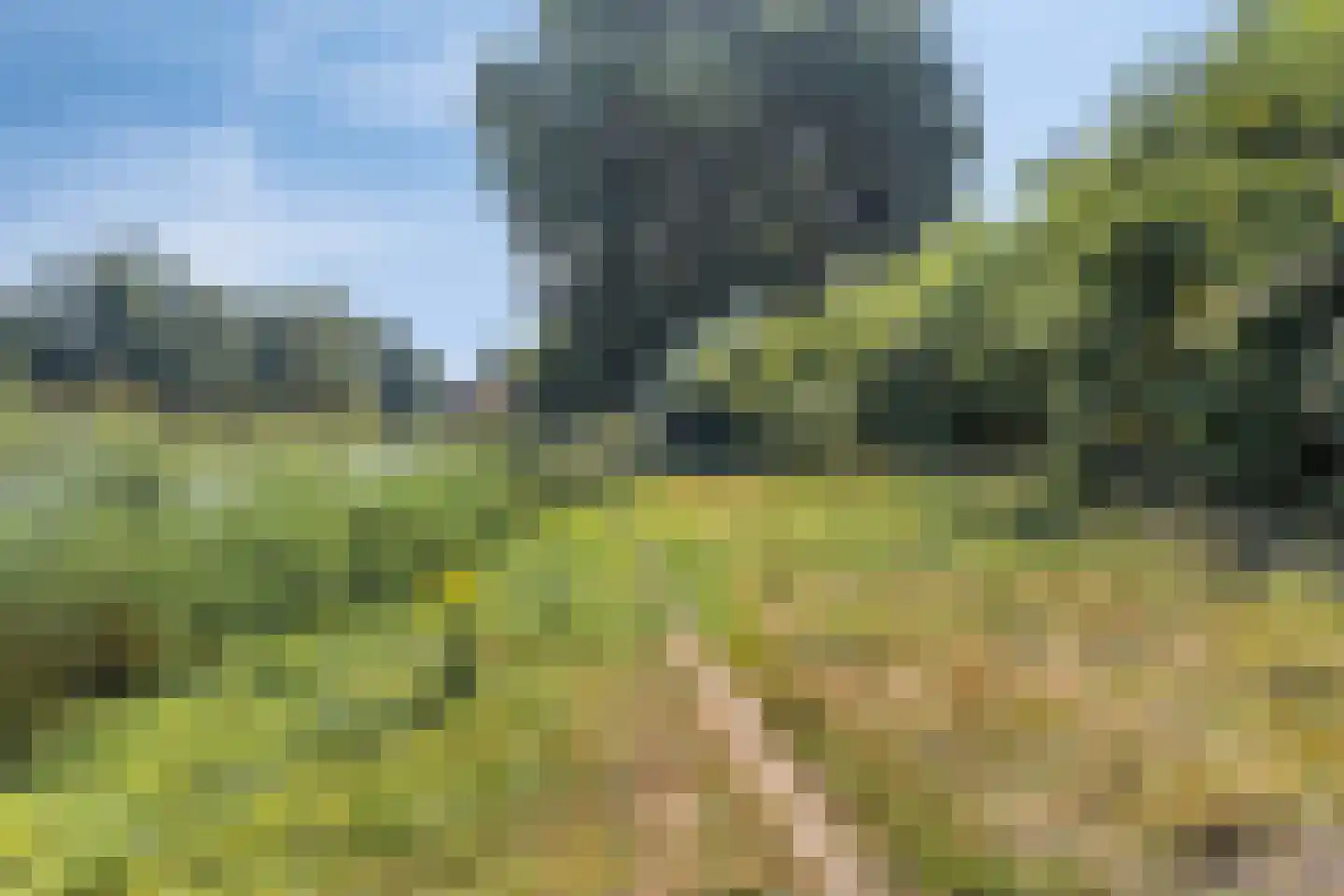 Cinnaberdijk 78 Roosendaal thumbnail 37