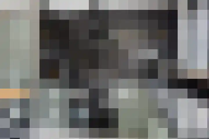 Cipresberg 104 Roosendaal thumbnail 6
